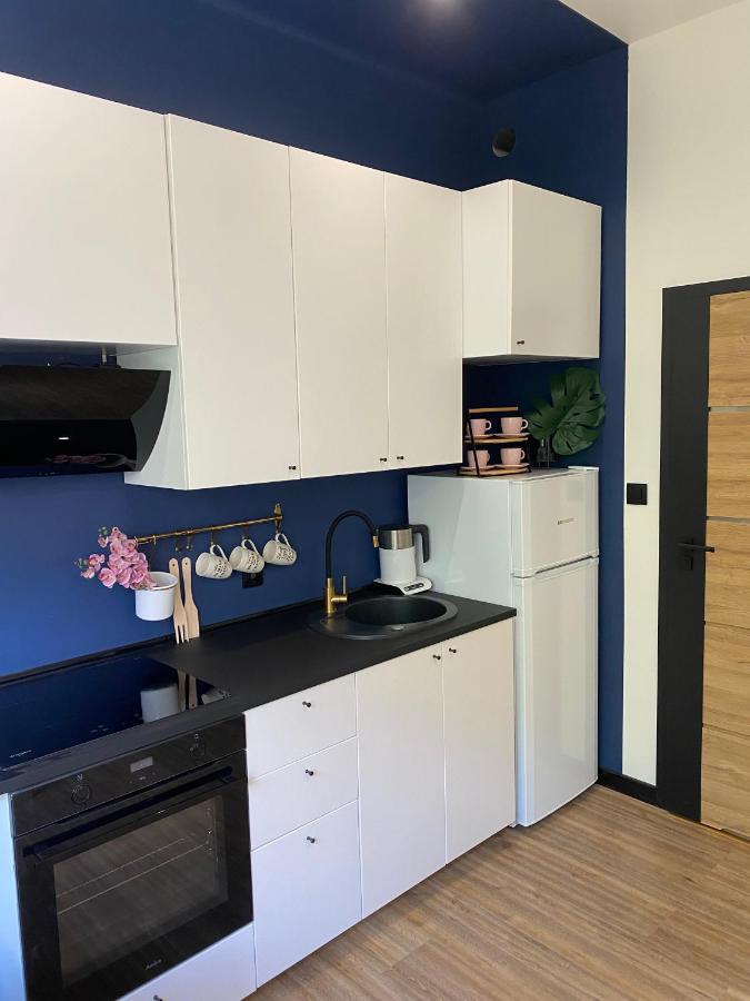 Przytulny I Nowoczesny Apartament Malgosi, 10 Min Pieszo Od Dworca I Galerii Katowice Eksteriør bilde